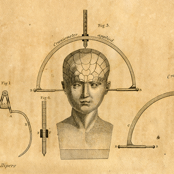 illustration of a head with calipers